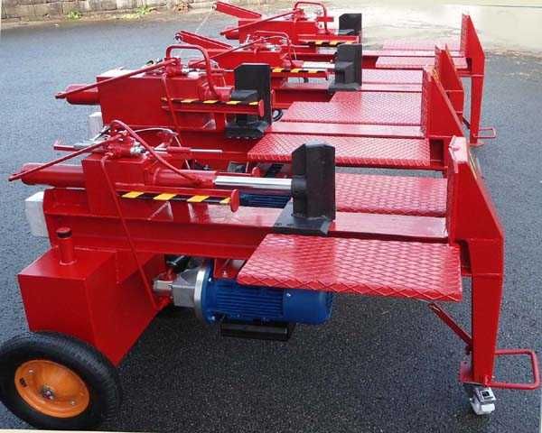 Rachador de lenha a Gasolina 15T