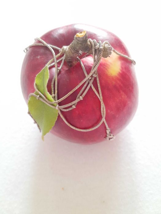 Plakieta mosięzna Tadeusz