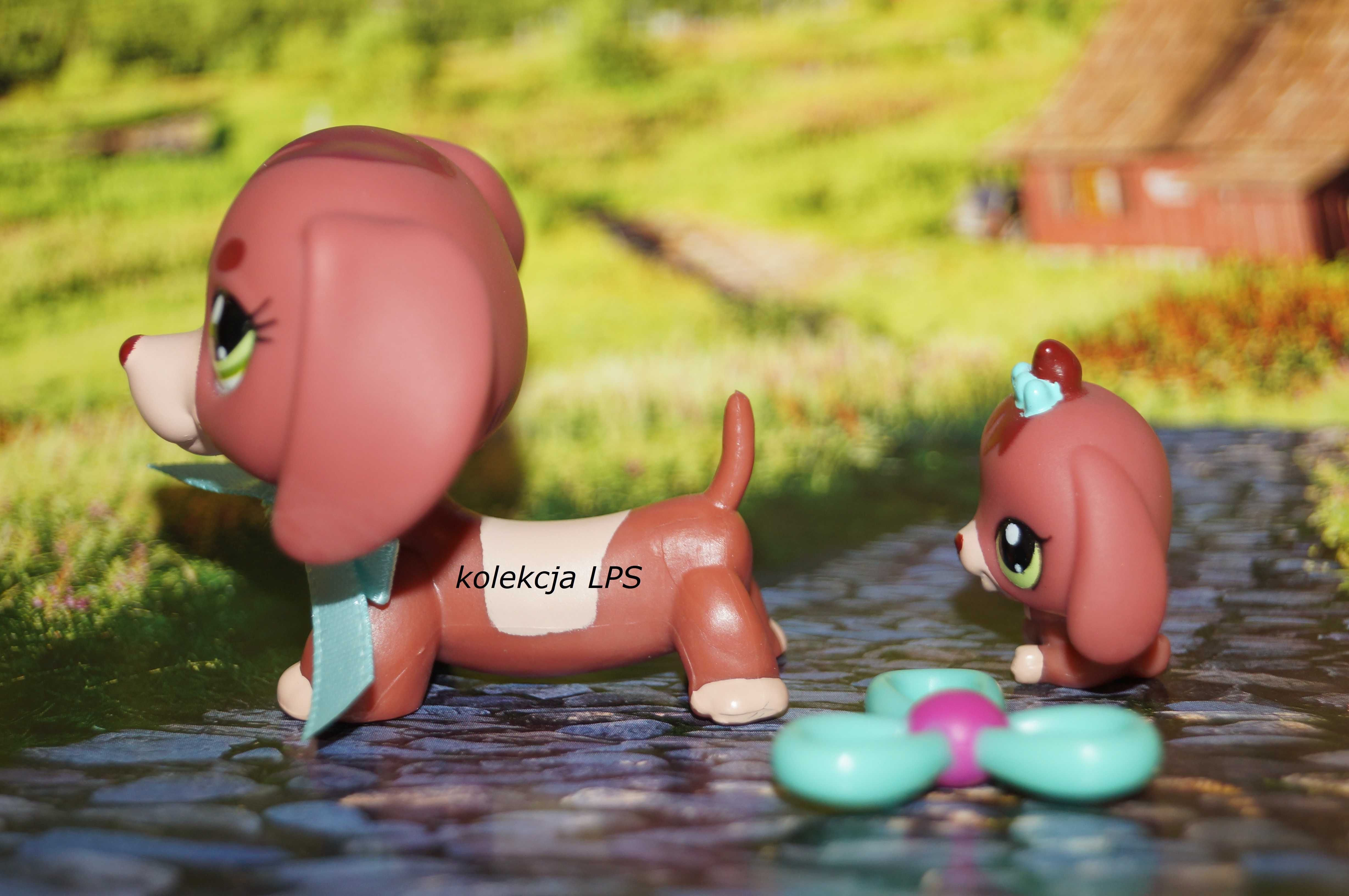 LPS Littlest Pet Shop jamnik #3601 #3602 oryginalny pop oryginał Iris