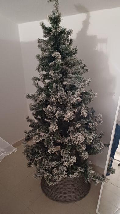 Árvore de Natal  nova