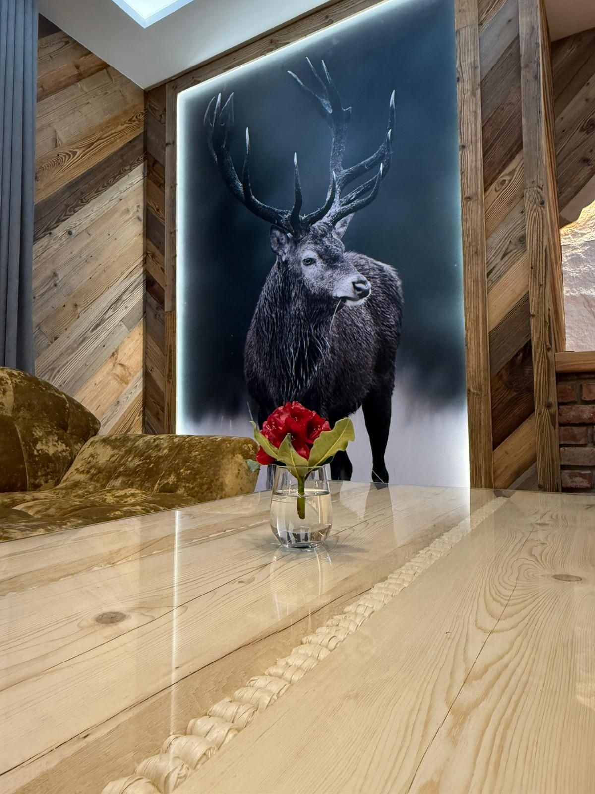 Domek apartament zakopane centrum willa