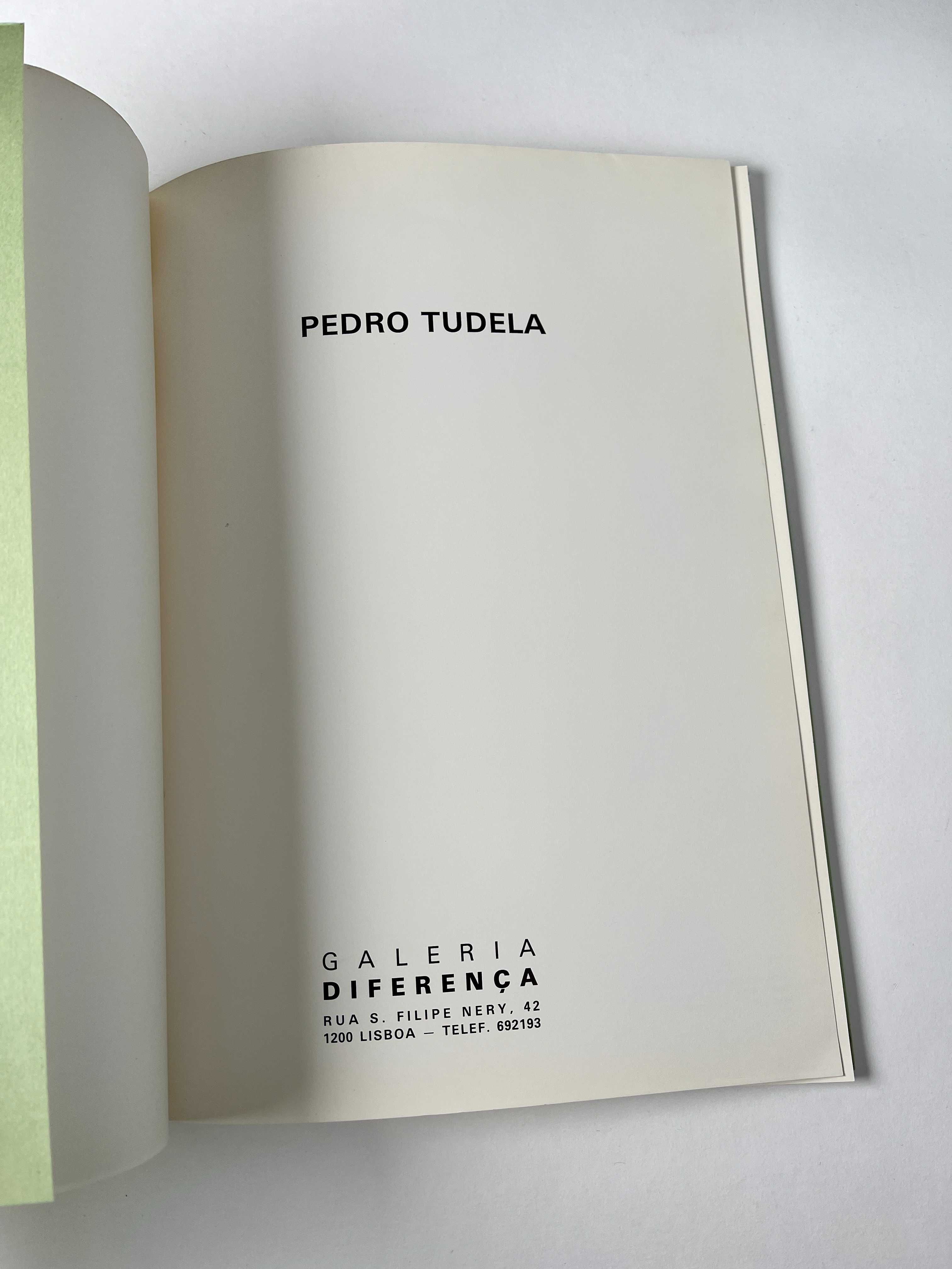 Pedro Tudela Galeria Diferença 1989 Catálogo exposição