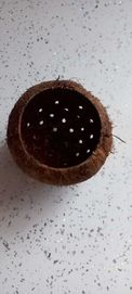 Kokos doniczka do akwarium