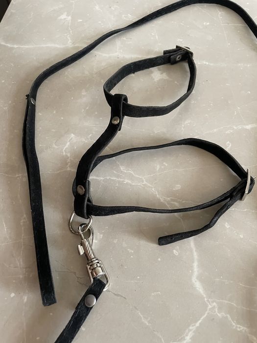 Шлейка для кошеек и котов