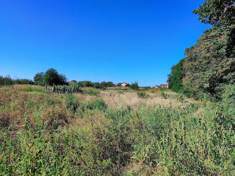 Продам ділянку 17 с в Червоній Слободі біля Дніпра