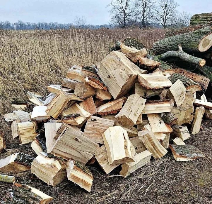 Drewno opałowe Topola