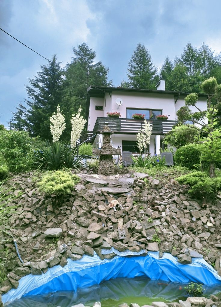 Apartament z widokiem na góry