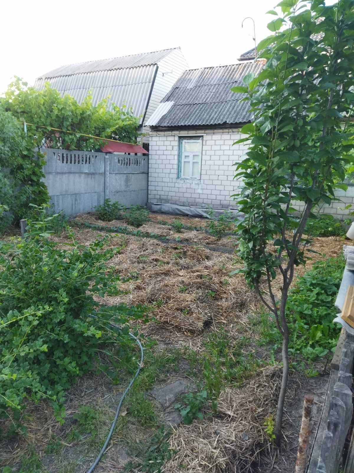 Будинок, район Криволіївського ринку.