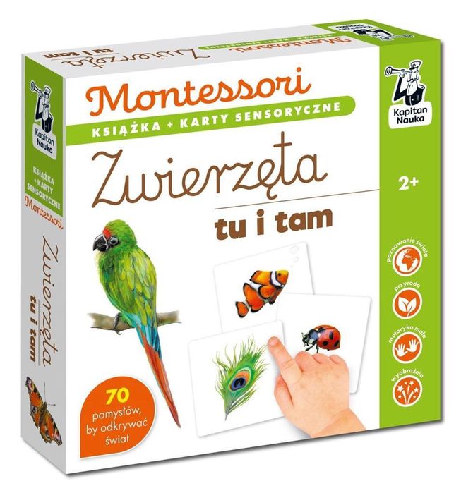 Montessori. Zwierzęta tu i tam. Karty sensoryczne Edgard Katarzyna Do