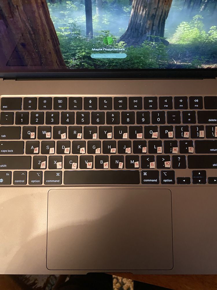 Apple MacBook Air 15“  M2 8/256 GB 2023