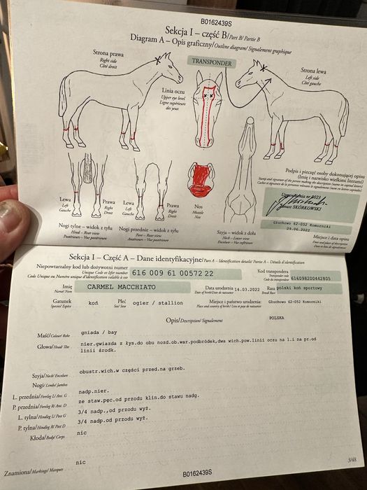 Carmel Macchiato Di Caprio Z