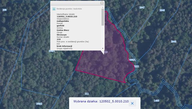 Działka rolno - leśna Strzeszyn, Biecz 0,49 ha nr 210 zalesienie