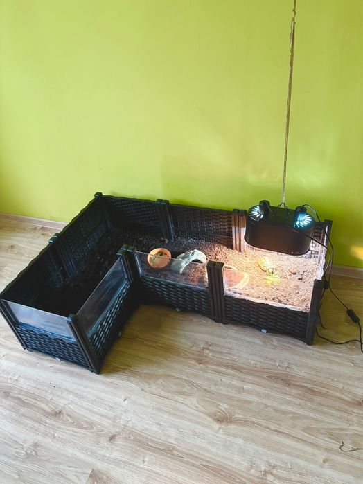 Terrarium otwarte wybieg otwarty dla żółwia