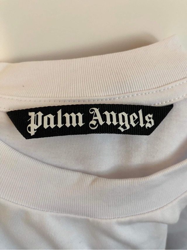 T-Shirt Palm Angeles Bear