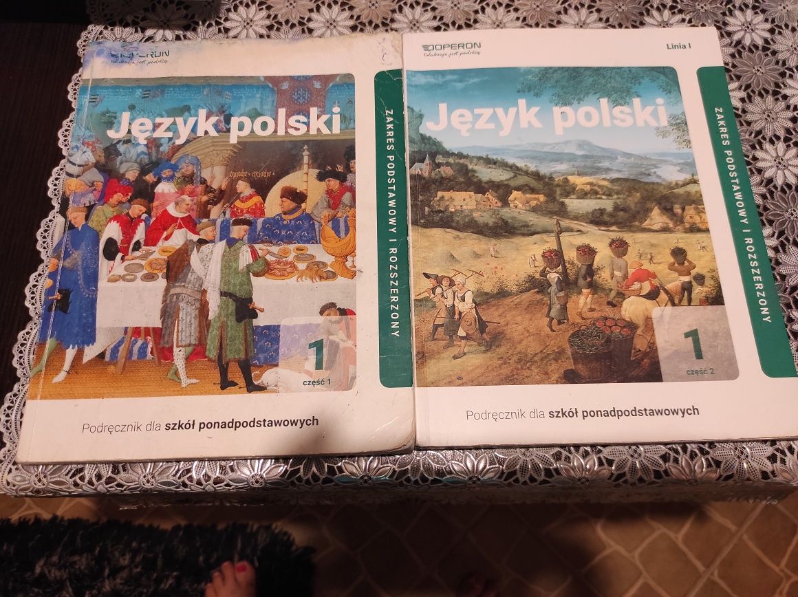 Język polski do szkół ponadpodstawowych 1.2