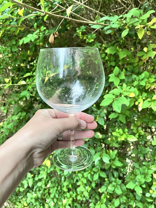 Бoкали для вина Scott Zwiesel