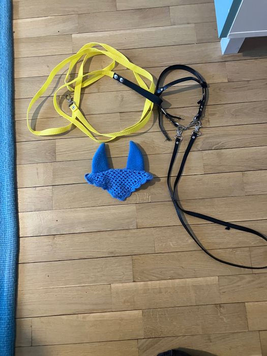 Sprzęt dla hh: ogłowie, ląża i nauszniki