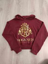 Bluza Harry Potter 146/152