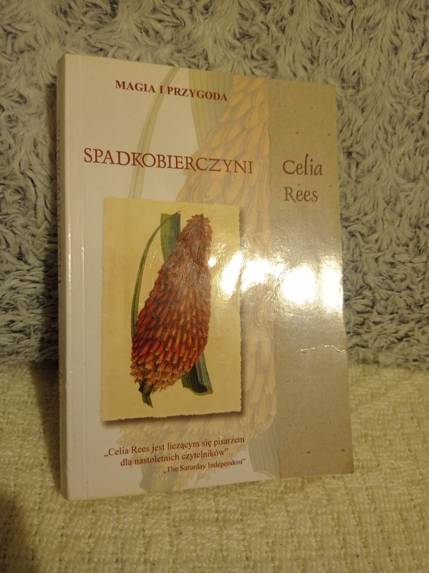 Spadkobierczyni celia rees magia i przygoda