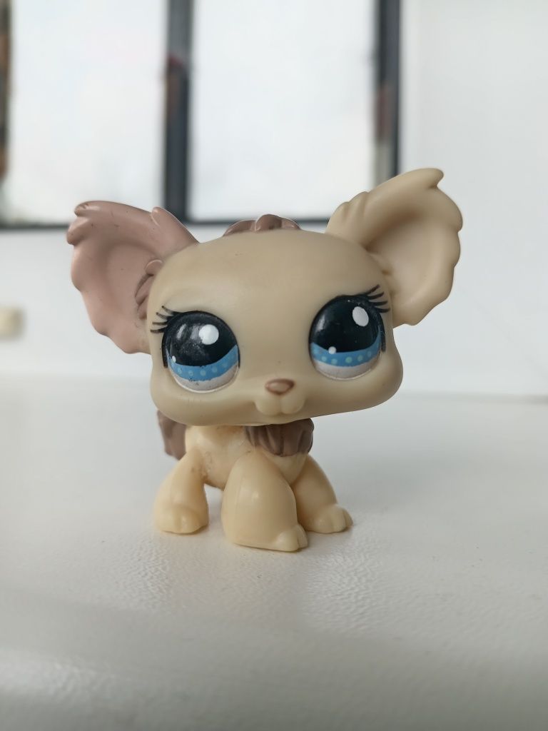 Littlest Pet Shop LPS чихуахуа