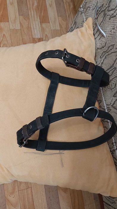Продам шлейку для собаки.