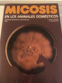 Micoses nos animais domésticos Espanhol