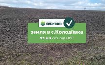 Продаж земельної ділянки під ОСГ, площа 21,63 соток с.Колодіївка