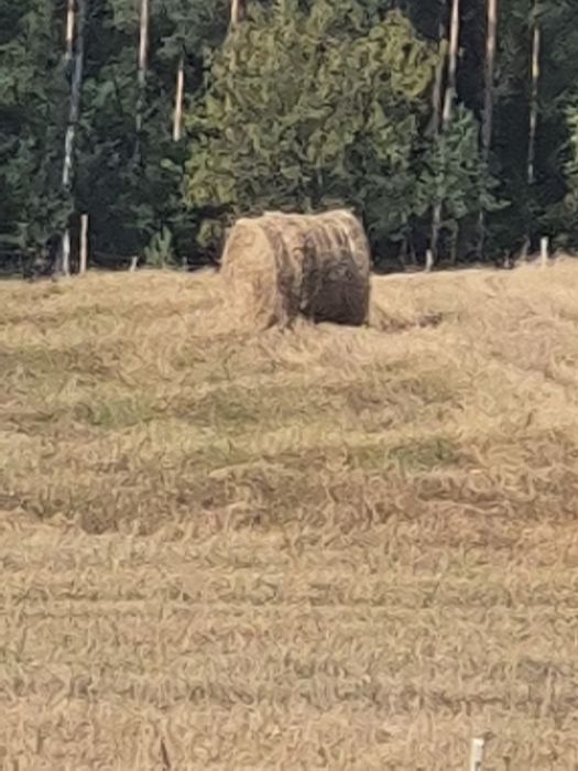 Sprzedam słome w belach
