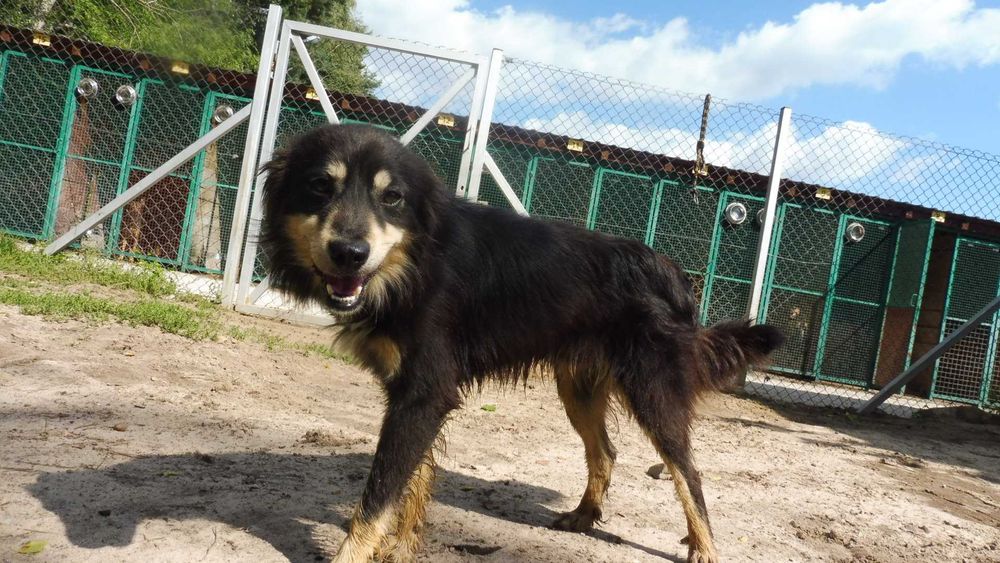 Eliot do samochodu nie wsiądzie...