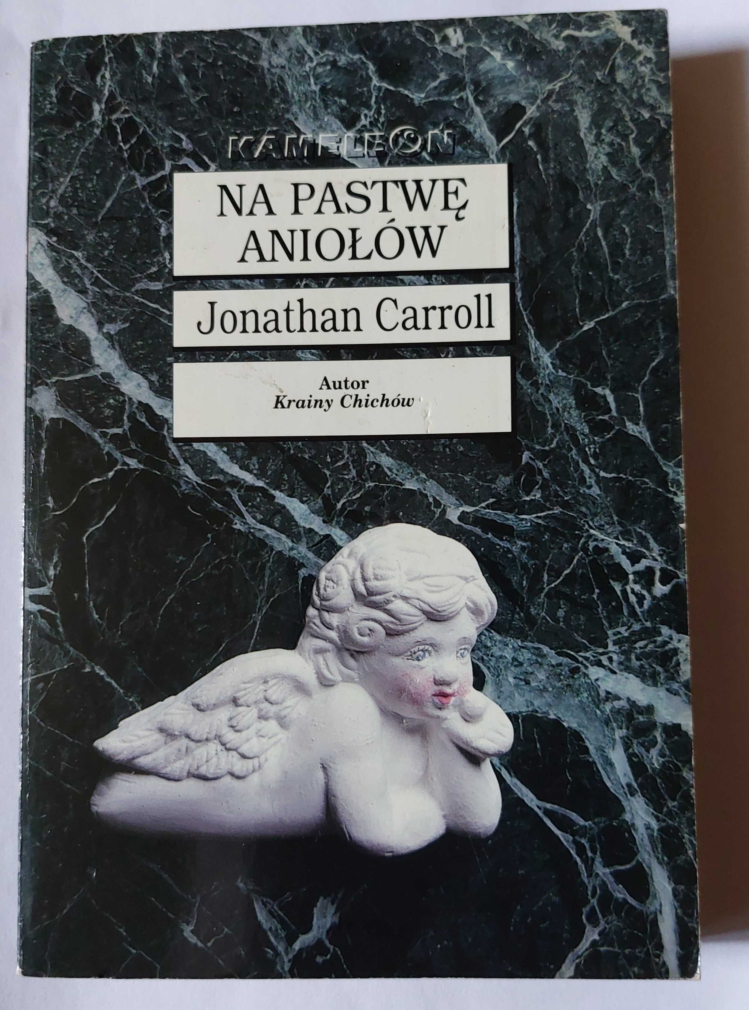 NA PASTWĘ ANIOŁÓW - Jonathan Carroll | książka