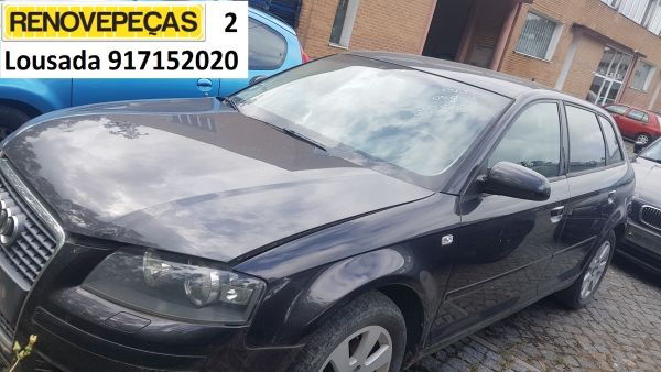 Travão de mão / parque AUDI A3 (8P1)