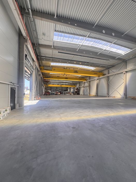 Magazyn/powierzchnia magazynowa Tychy