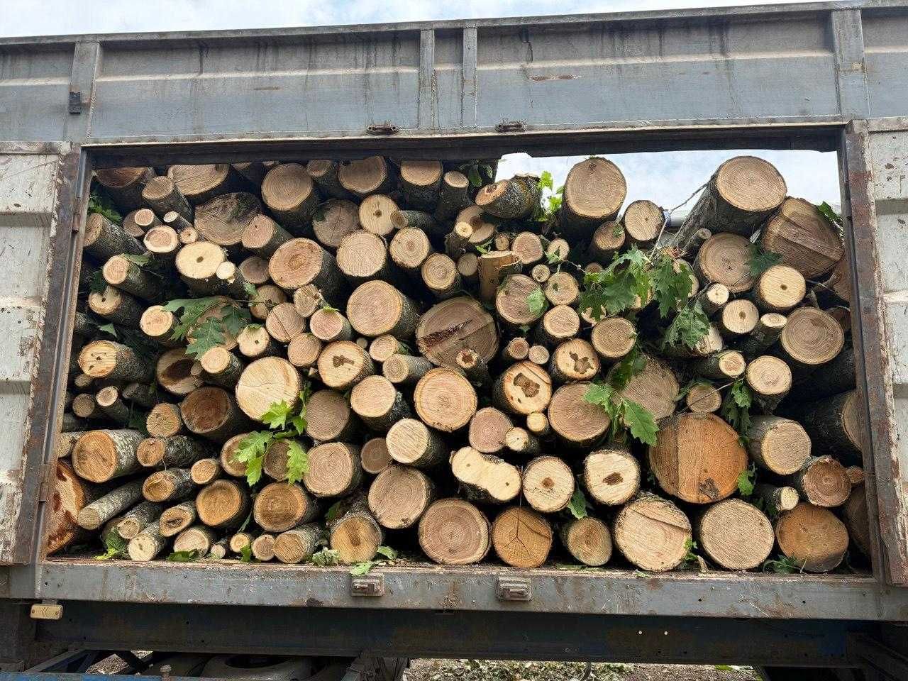 Продаємо дрова твердих порід