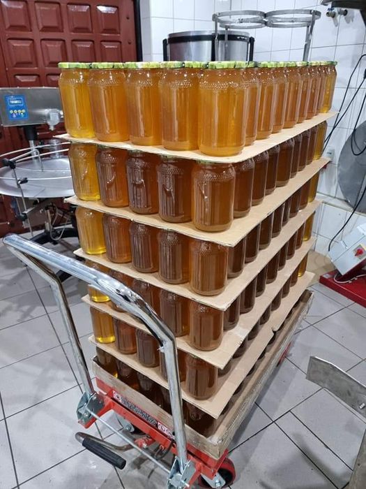 Miód z własnej pasieki Pasieka Wilga