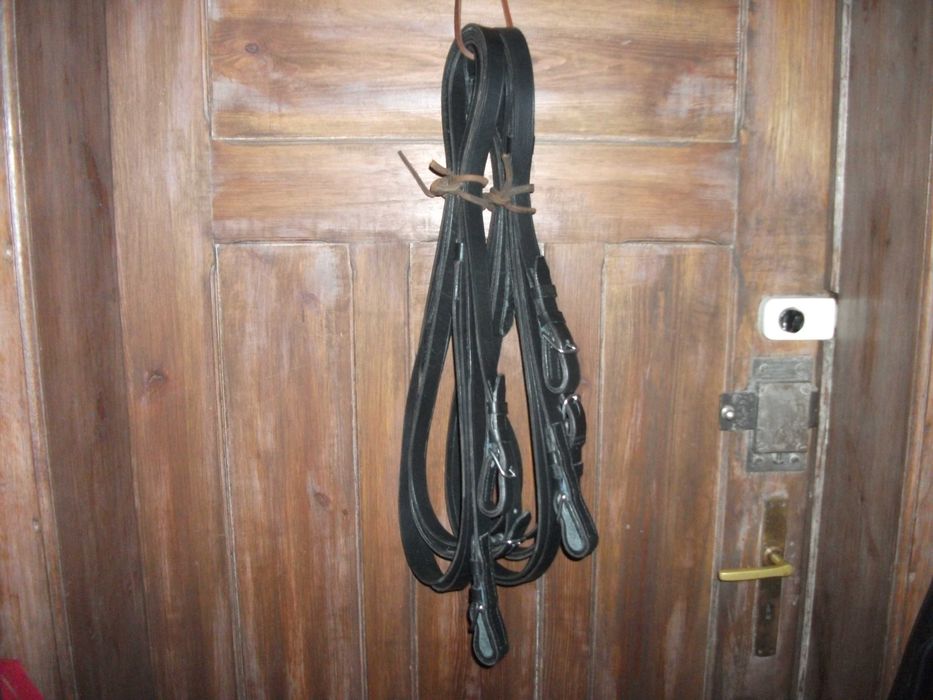 Lejce parokonne, na parę koni Achenbacha