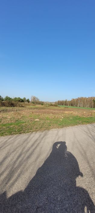 Działka budowlana 4400m2 Ożegów!