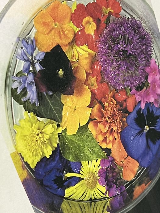 Drukarka szerokoformatowa ploter Xerox IJP-2000 druk 420m2/h