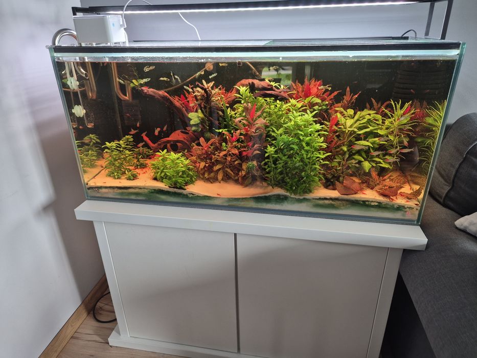 Akwarium zestaw 180l