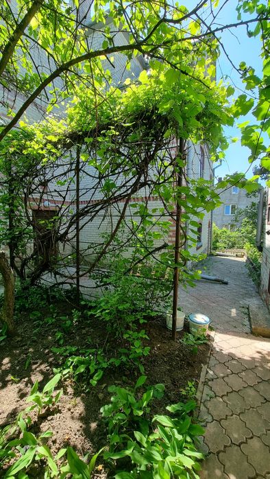 ПРОДАЖ БУДИНКУ, Смиківці, із господарською будівлею