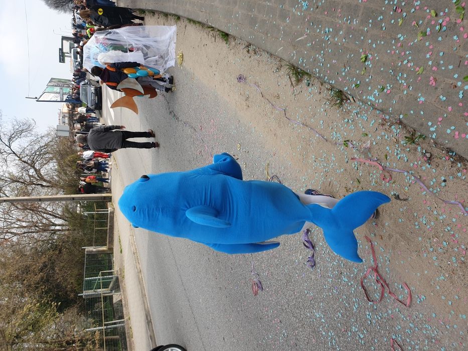 Golfinho - Fato Fantasia