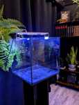 Akwarium krewetkarium cube kostka 30l