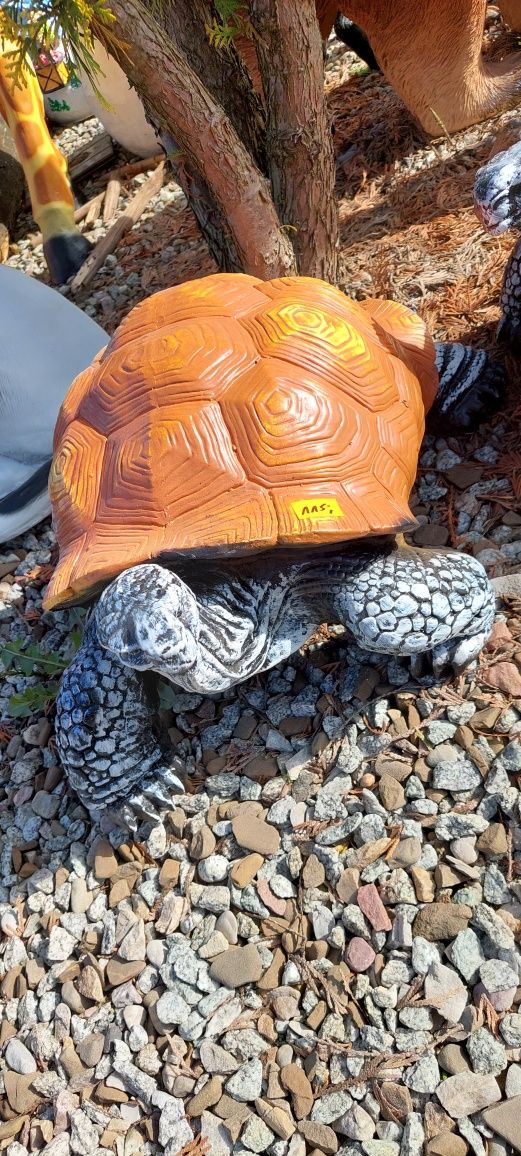 Duży żółw  39 cm