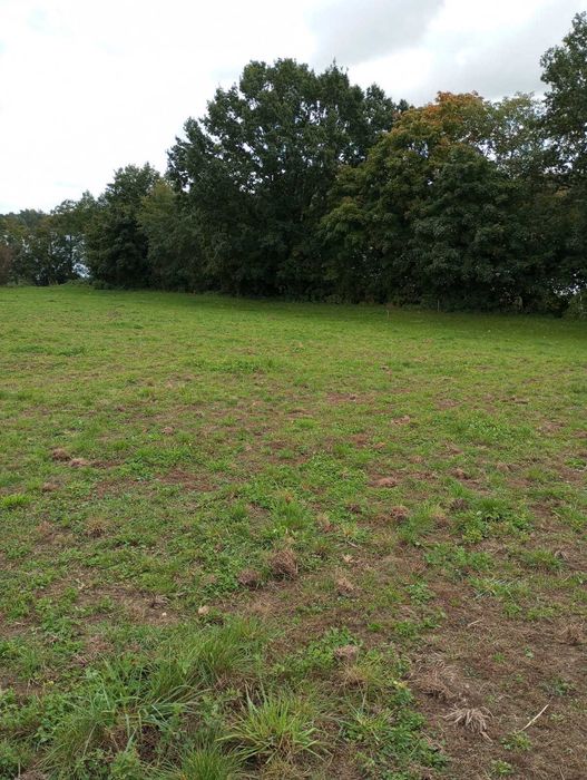 Działka z linią brzegową jeziora Długie 30ar