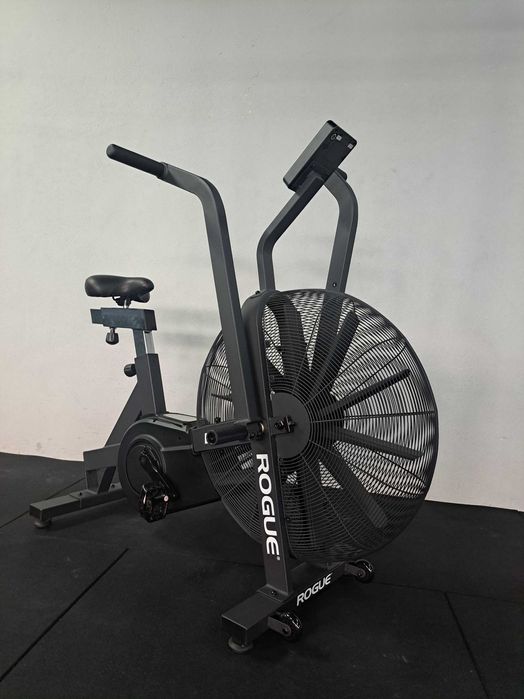 Rogue Echo Bike v3.0