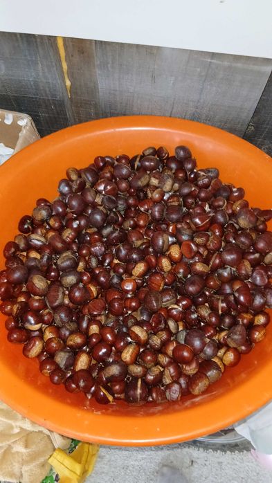 Castanhas para venda