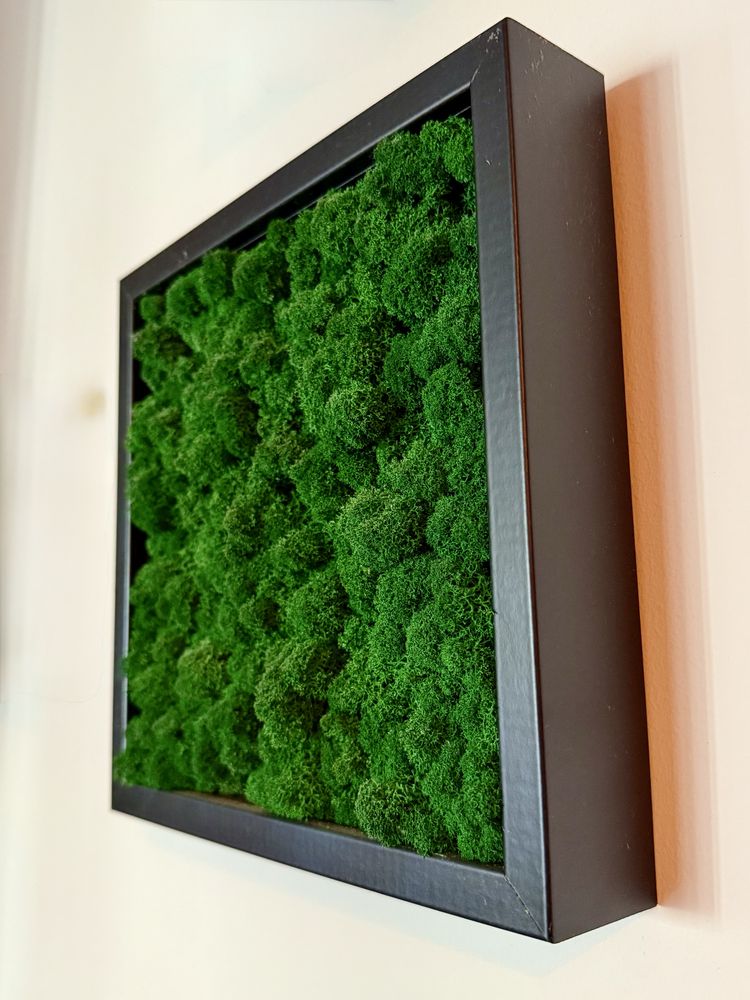 Obraz mech chrobotek 25x25cm – loft!