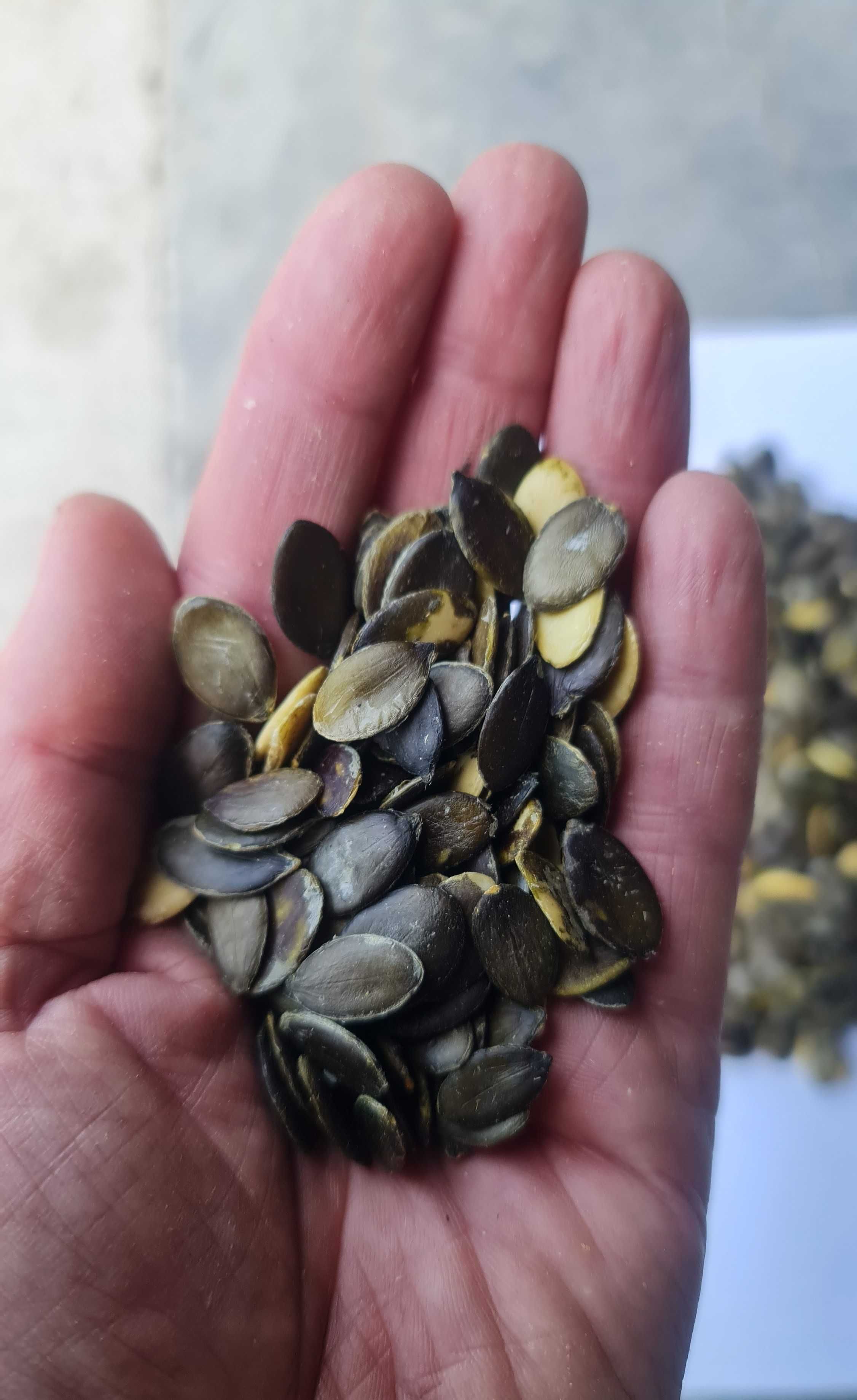 Dynia bezłuskowa bezłupinowa pestki
