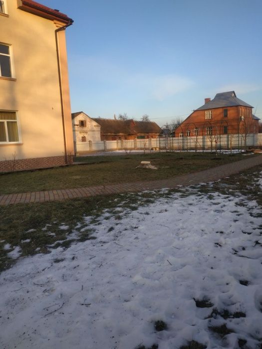 Обрізання зрізання обрізка дерев зріз зрізка спил валка Сокаль