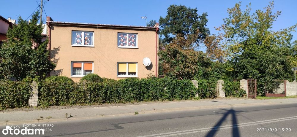 Działka 6500 m2 z domem - Raciąż / bez pośredników