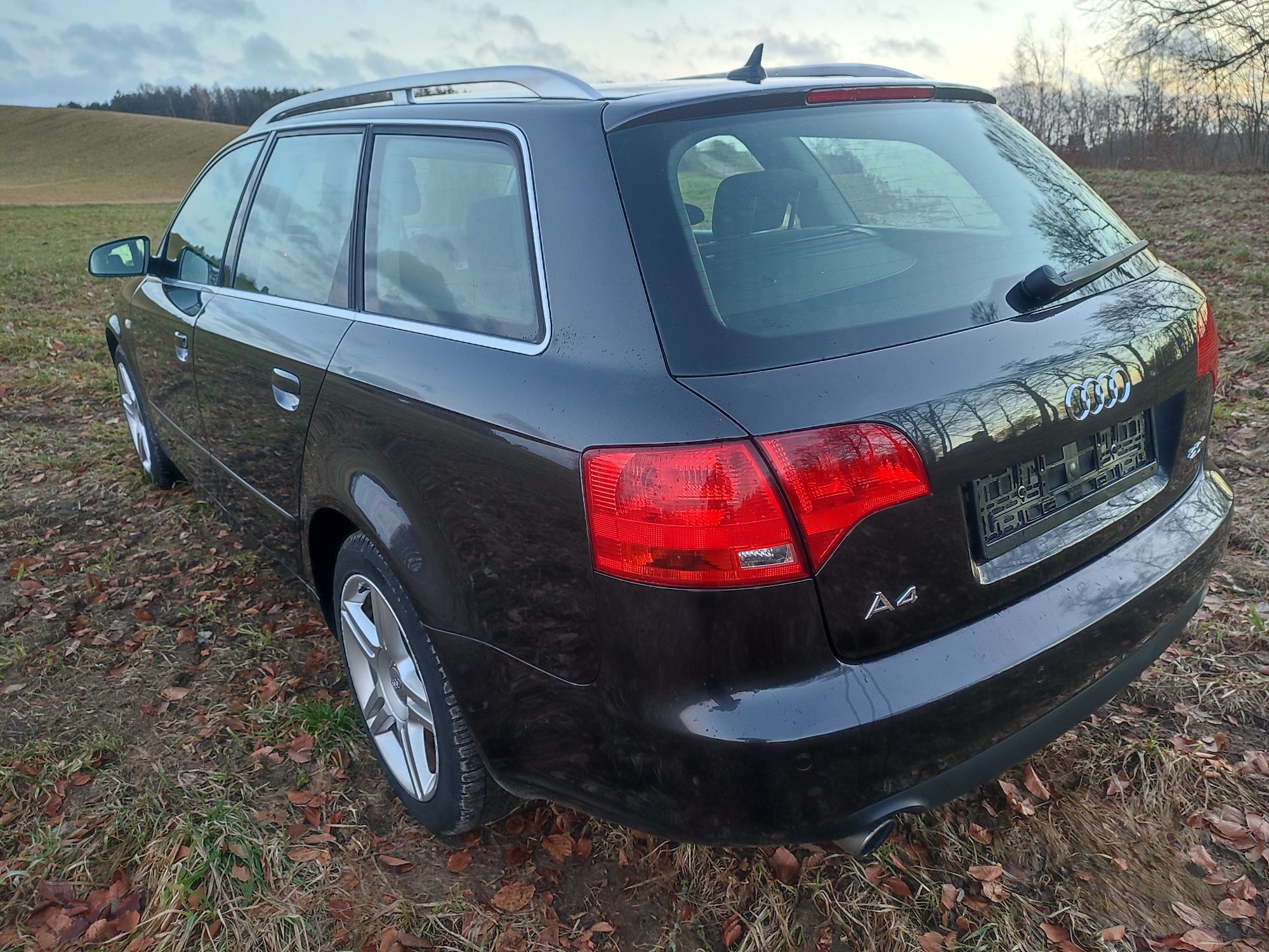 Audi A4 b7 2.0 fsi